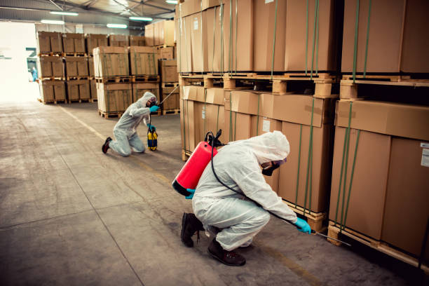 Best Bed Bug Extermination  in Mount Gilead, NC