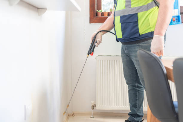 Best Termite Control Services  in Mount Gilead, NC