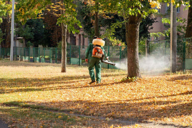 Best Flea Control Services  in Mount Gilead, NC