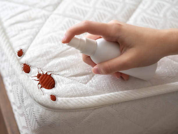  Mount Gilead, NC Pest Control Pros