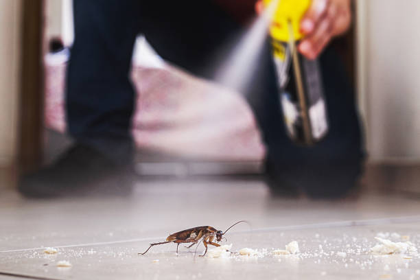 Best Emergency Pest Control  in Mount Gilead, NC